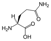 L-glutamin i Keto Diet